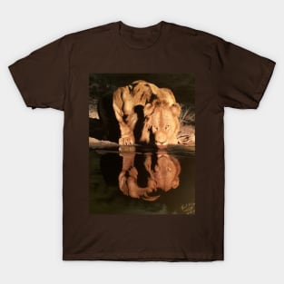 A Lion's Thirst T-Shirt